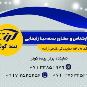 طراحی PSD کارت پی‌وی‌سی شناسایی کد 268