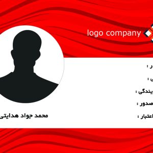 طراحی کارت پی‌وی‌سی شناسایی کد 256