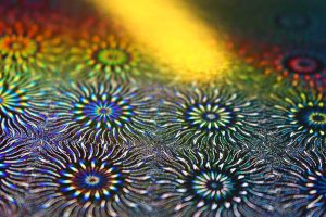 What is a hologram